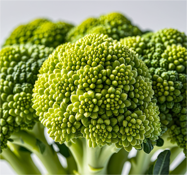 1720404365358563.png 西蘭花.png